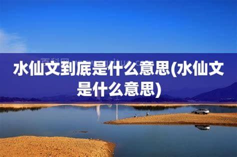 水仙文 意思|水仙